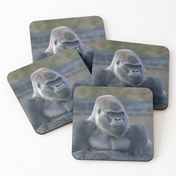 Item preview, Iconic Silverback Oumbi designed and sold by rawshutterbug.