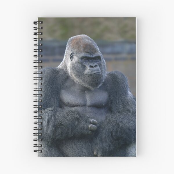 Item preview, Iconic Silverback Oumbi designed and sold by rawshutterbug.
