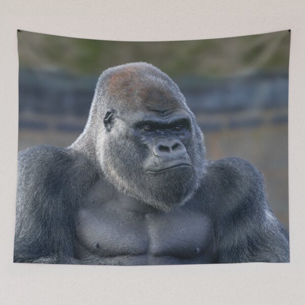 Item preview, Iconic Silverback Oumbi designed and sold by rawshutterbug.