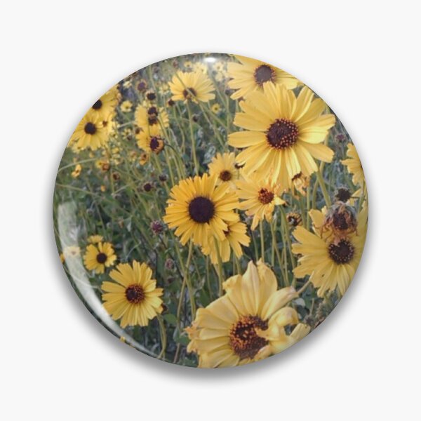 Artikelvorschau, Wilde Sonnenblumen in Kalifornien entworfen und verkauft von Alissa Goldberg.