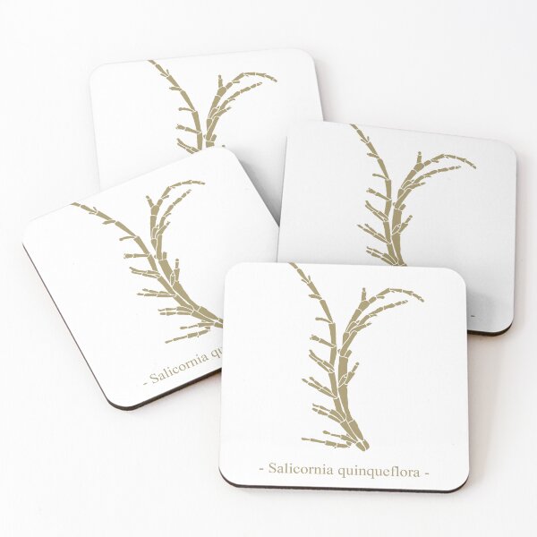 Item preview, Australian Native Bush Tucker Samphire Plant designed and sold by Mosspiglet13.
