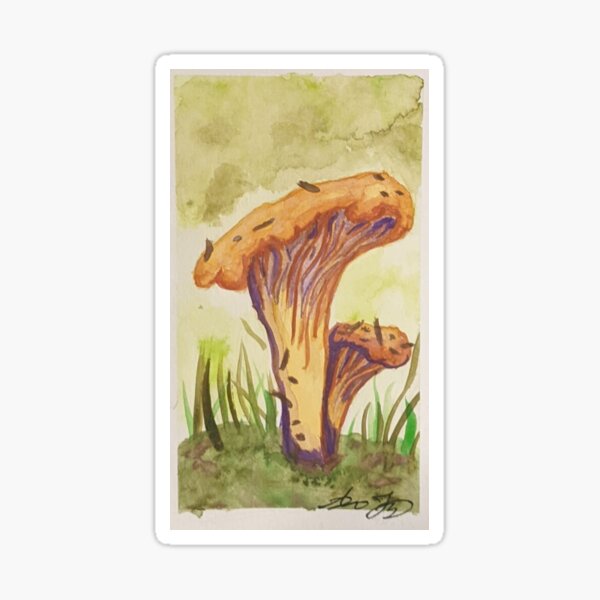 Item preview, Chanterelle Mushrooms designed and sold by auraswatercolor.