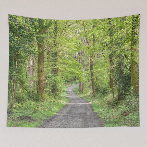 Item preview, Pathway through forest designed and sold by assaf.