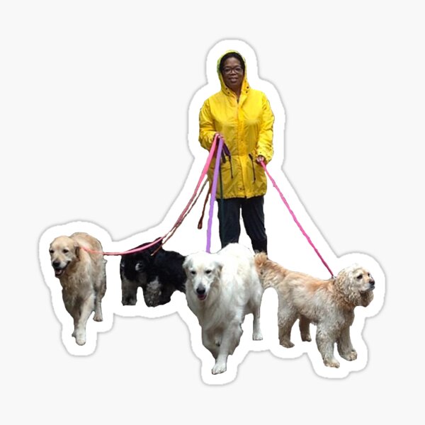 Oprah Walking Dogs Sticker