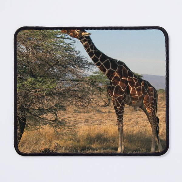 Item preview, african giraffe designed and sold by animal-animal.