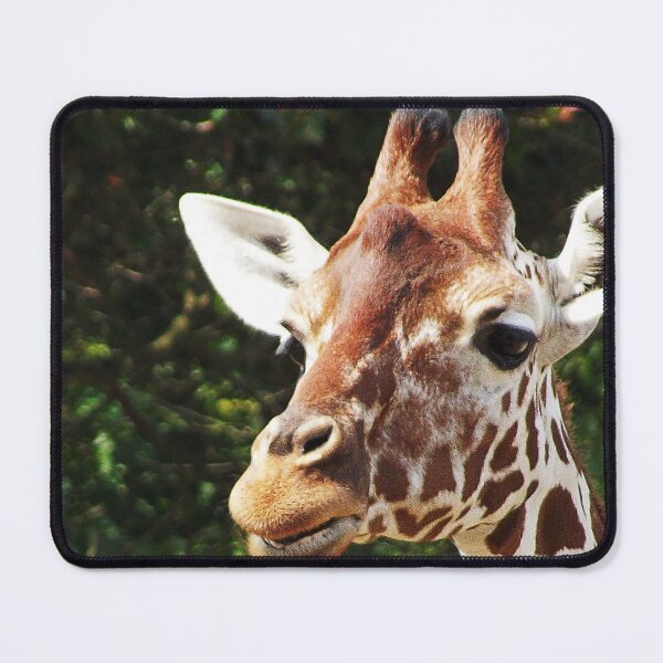 Item preview, Giraffe designed and sold by animal-animal.