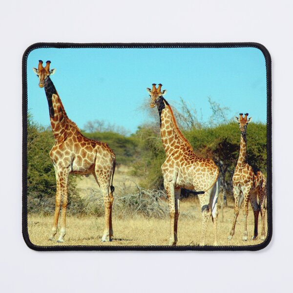Item preview, african giraffe designed and sold by animal-animal.