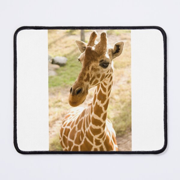 Item preview, african giraffe designed and sold by animal-animal.