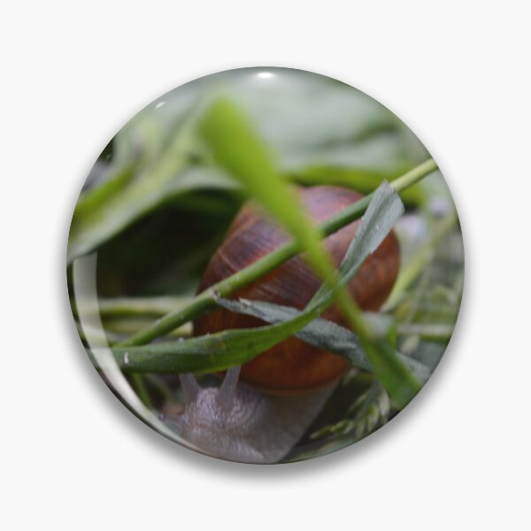 Item preview, Snail designed and sold by GraphicPastel.