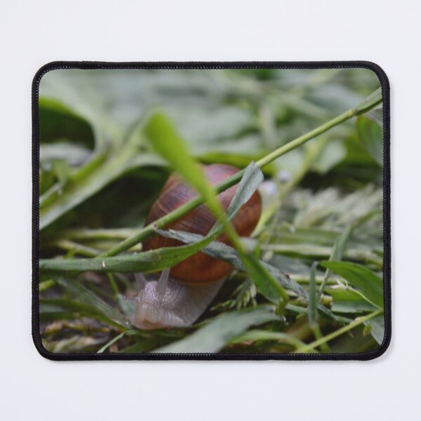 Item preview, Snail designed and sold by GraphicPastel.