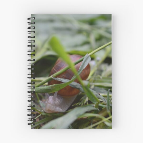 Item preview, Snail designed and sold by GraphicPastel.