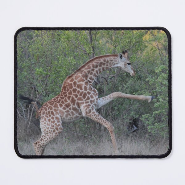 Item preview, funny giraffe designed and sold by animal-animal.