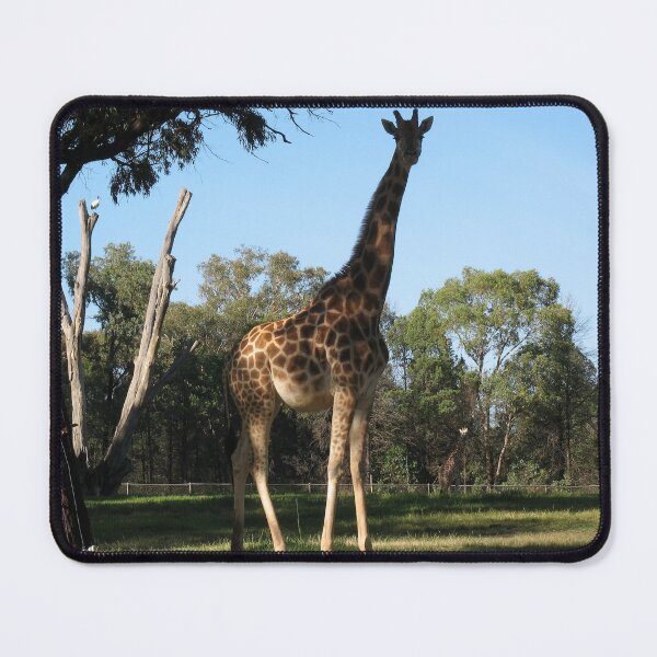 Item preview, african giraffe designed and sold by animal-animal.