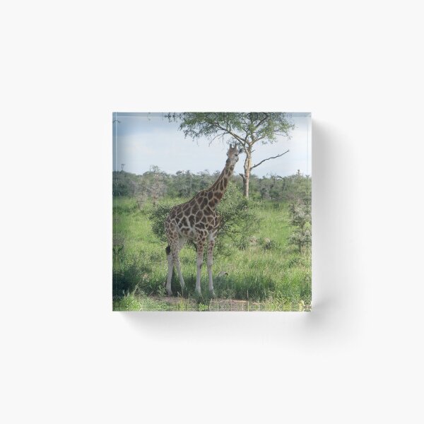 Item preview, african giraffe designed and sold by animal-animal.