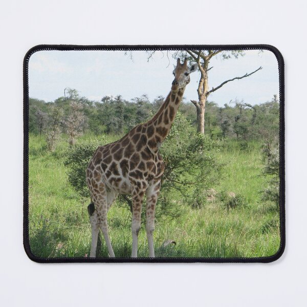 Item preview, african giraffe designed and sold by animal-animal.