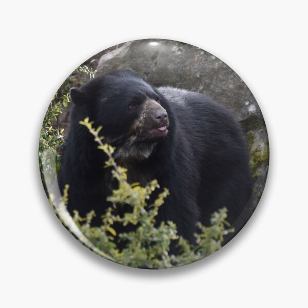 Item preview, Andean Bear designed and sold by megjayne-photos.
