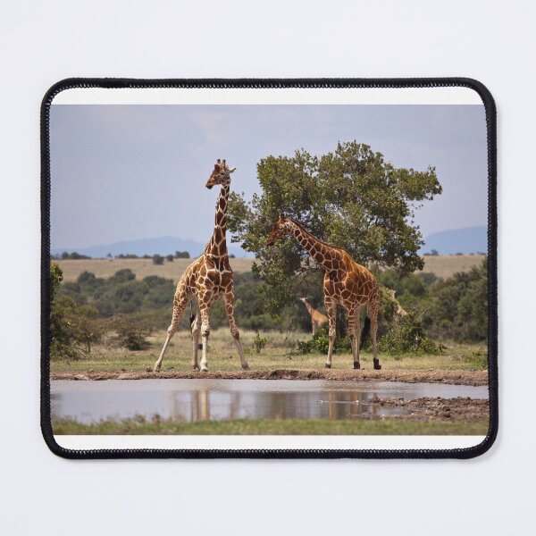 Item preview, african giraffe designed and sold by animal-animal.