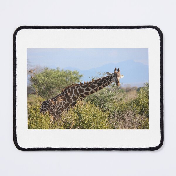 Item preview, african giraffe designed and sold by animal-animal.