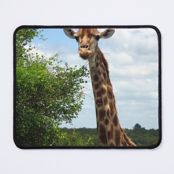 Item preview, african giraffe designed and sold by animal-animal.