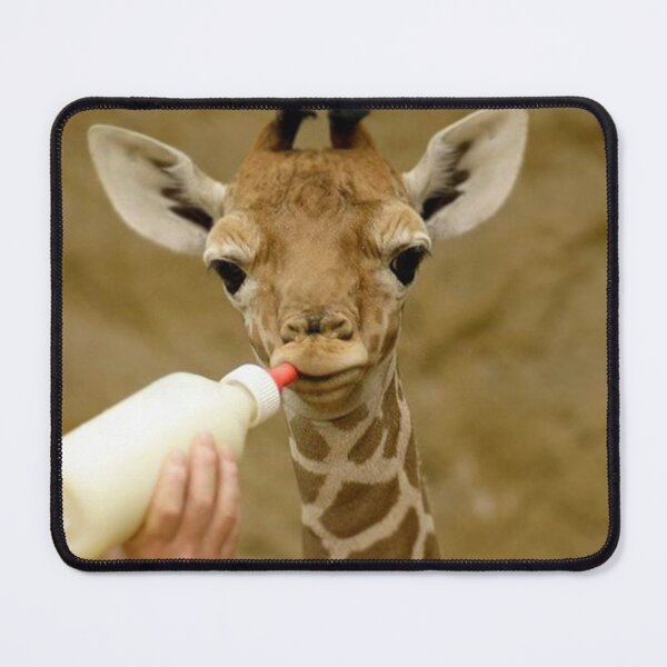 Item preview, baby giraffe designed and sold by animal-animal.