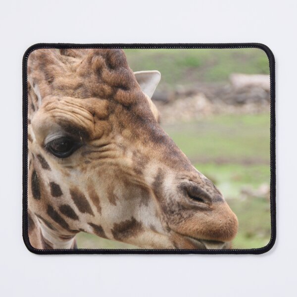 Item preview, funny giraffe designed and sold by animal-animal.