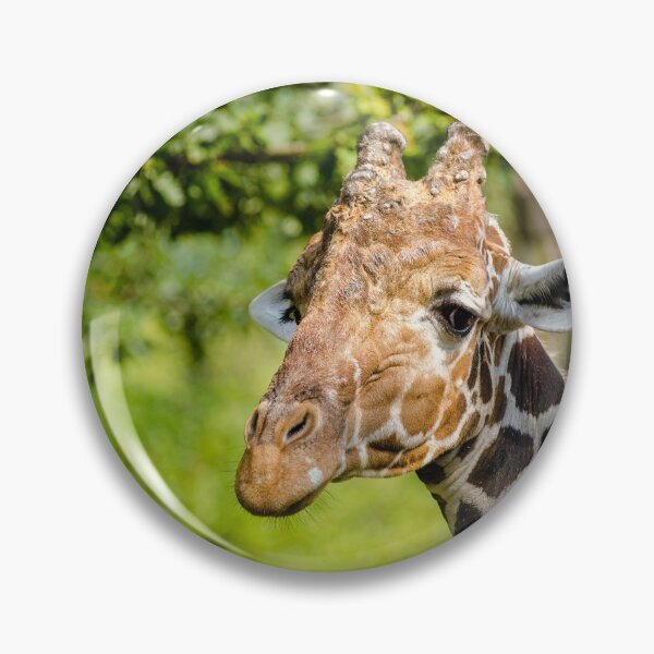 Artikelvorschau, giraffe entworfen und verkauft von animal-animal.
