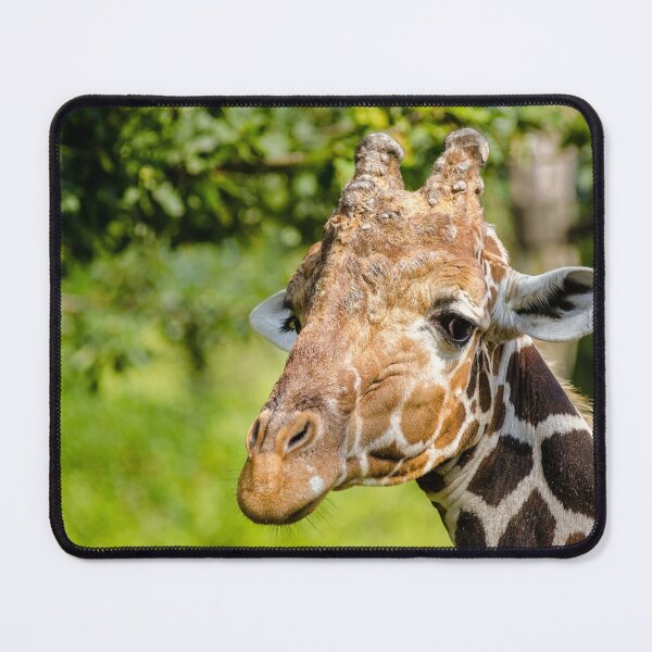 Item preview, giraffe designed and sold by animal-animal.