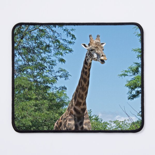 Item preview, giraffe designed and sold by animal-animal.