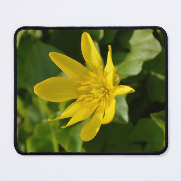 Item preview, Žiedas  designed and sold by GraphicPastel.