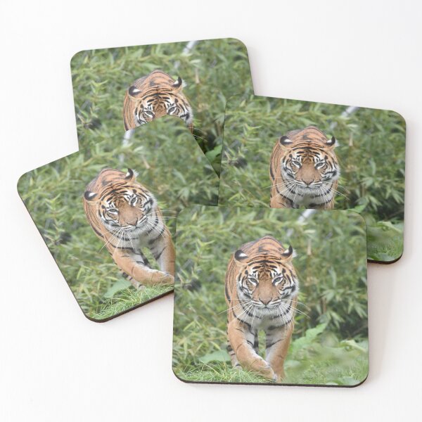 Item preview, Sumatran Tiger designed and sold by megjayne-photos.
