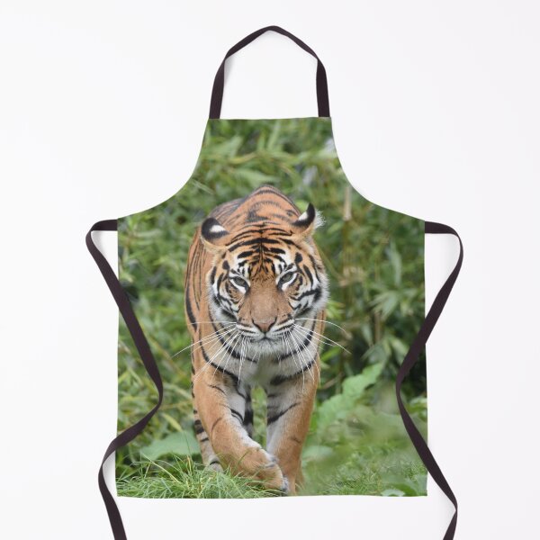 Item preview, Sumatran Tiger designed and sold by megjayne-photos.