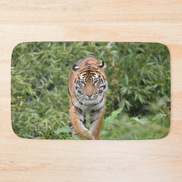 Item preview, Sumatran Tiger designed and sold by megjayne-photos.
