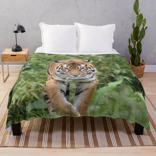Item preview, Sumatran Tiger designed and sold by megjayne-photos.