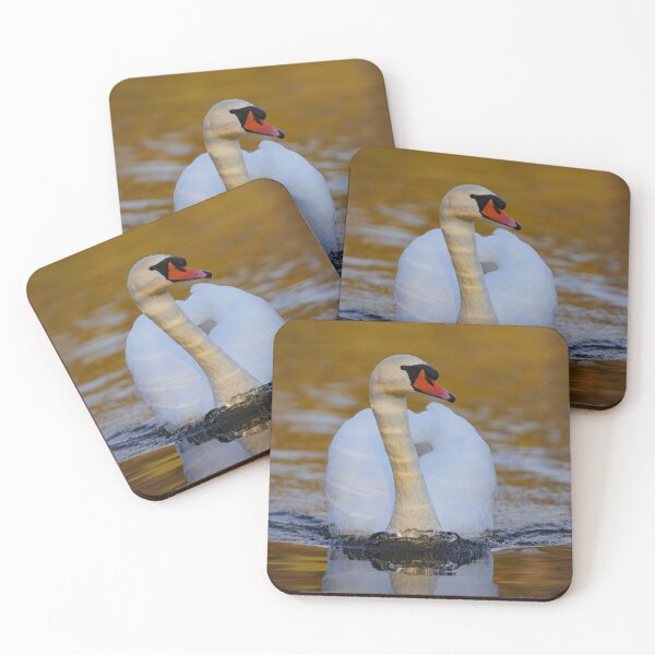 Item preview, Approaching curious swan designed and sold by WildEncounters.