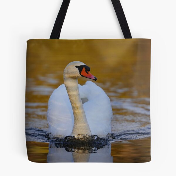 Item preview, Approaching curious swan designed and sold by WildEncounters.