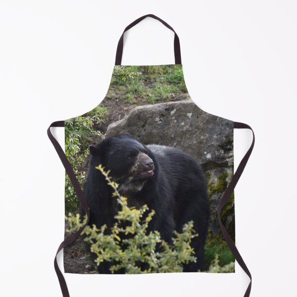 Item preview, Andean Bear designed and sold by megjayne-photos.