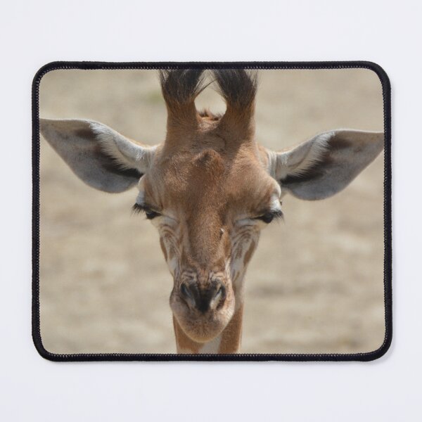 Item preview, funny giraffe designed and sold by animal-animal.