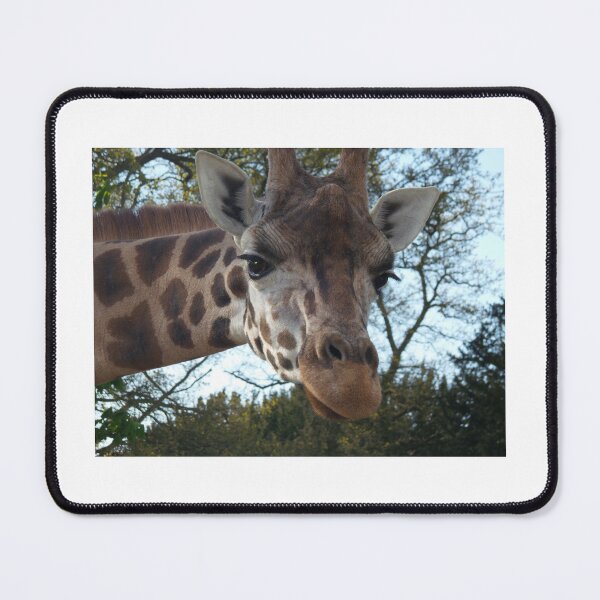 Item preview, giraffe designed and sold by animal-animal.