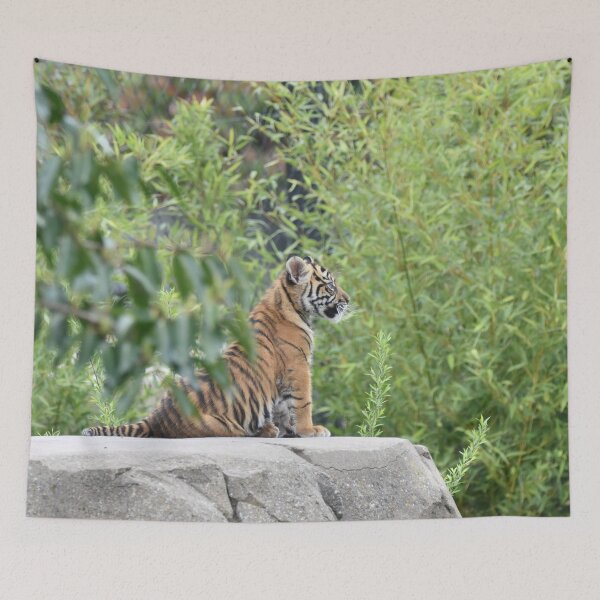 Item preview, Tiger Cub designed and sold by megjayne-photos.