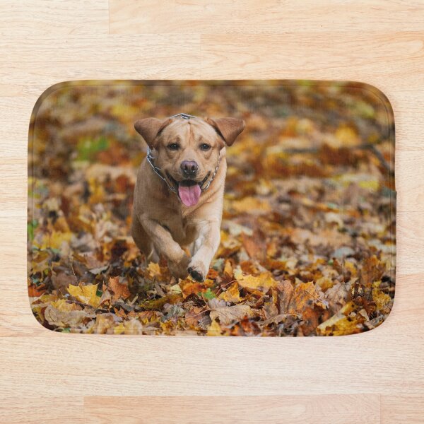 Artikelvorschau, Hund läuft zwischen Herbstblättern entworfen und verkauft von WildEncounters.