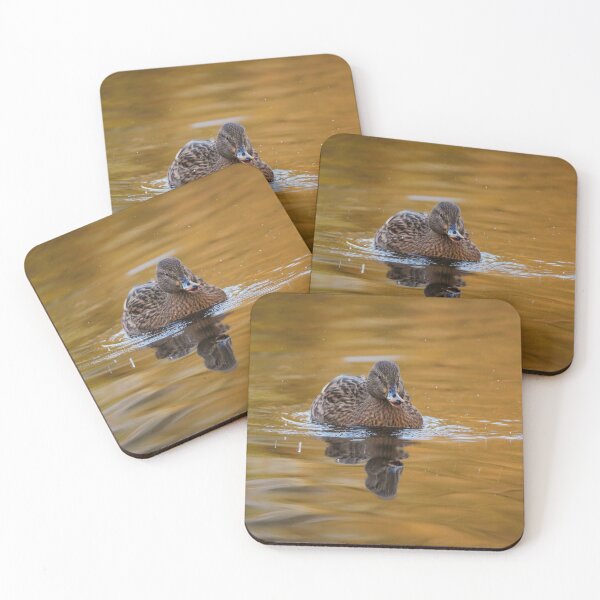 Item preview, Autumn mallard female designed and sold by WildEncounters.