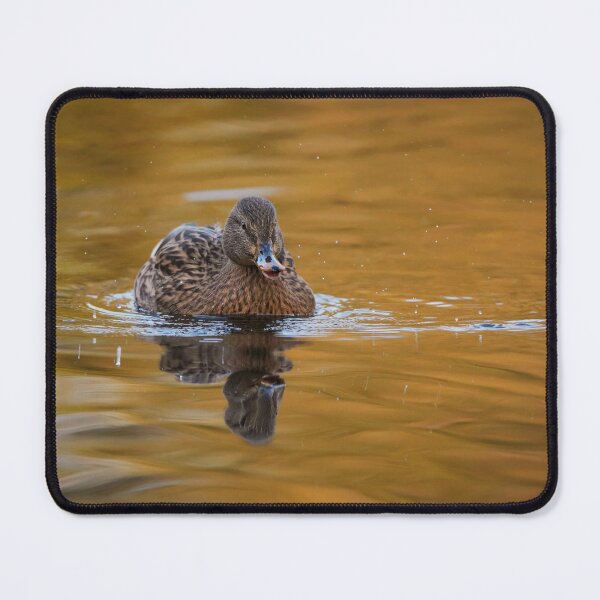 Item preview, Autumn mallard female designed and sold by WildEncounters.