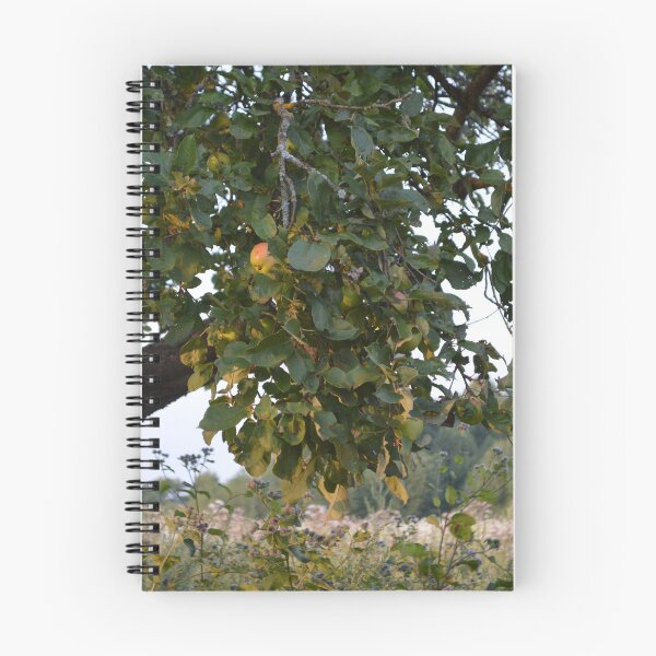 Item preview, Nesugadinta gamta  designed and sold by GraphicPastel.