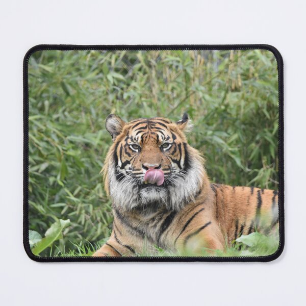 Item preview, Dash Tiger designed and sold by megjayne-photos.