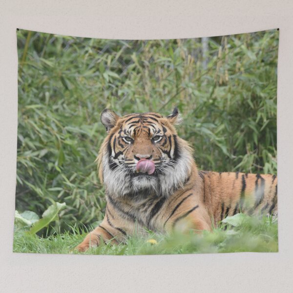 Item preview, Dash Tiger designed and sold by megjayne-photos.