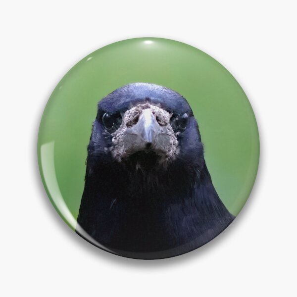 Item preview, Judgmental rook designed and sold by WildEncounters.