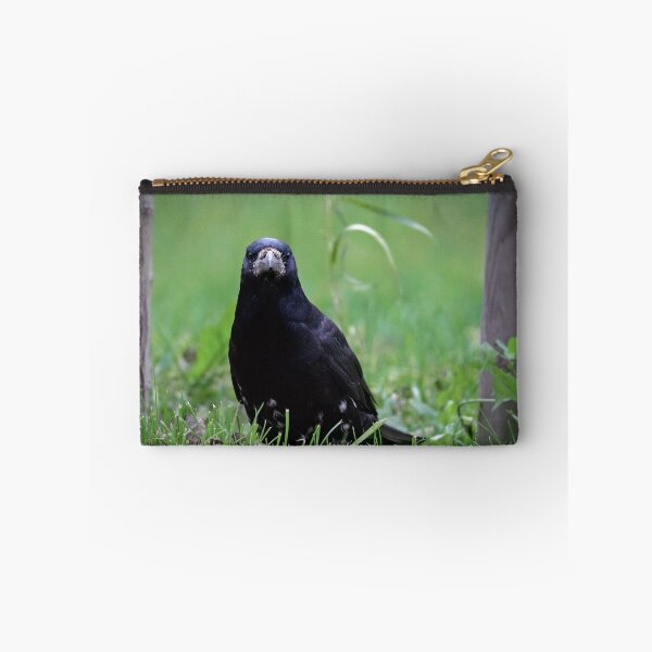 Item preview, Judgmental rook designed and sold by WildEncounters.
