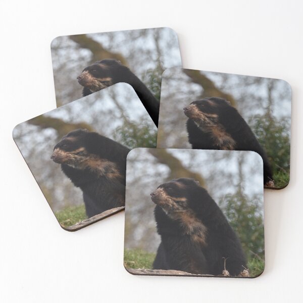 Item preview, Andean Bear  designed and sold by megjayne-photos.