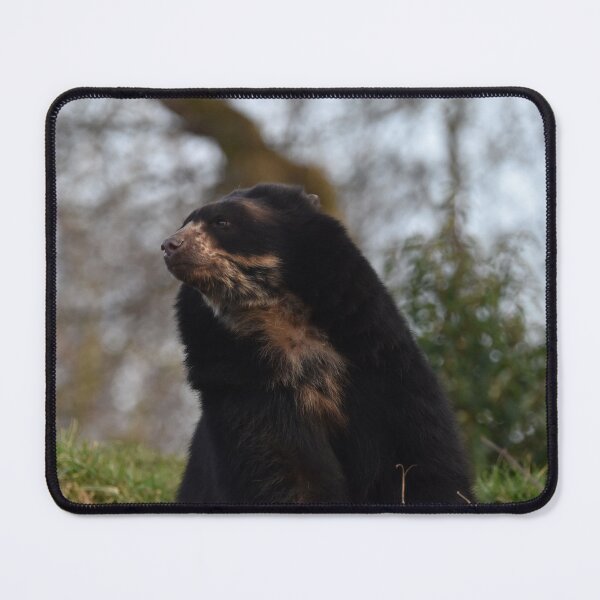 Item preview, Andean Bear  designed and sold by megjayne-photos.