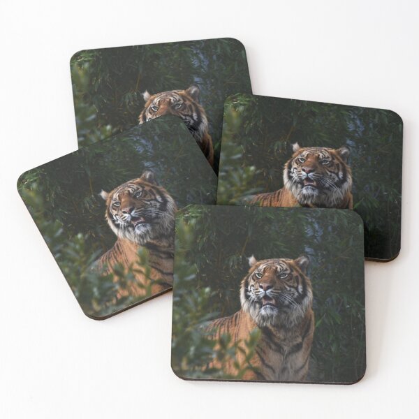 Item preview, Sumatran Tiger in the Bushes designed and sold by megjayne-photos.